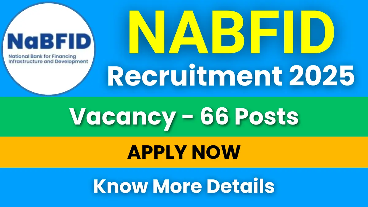 NaBFID Recruitment 2025